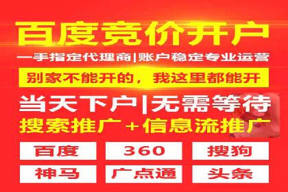 短视频信息流营销实战：小红书的成长之路